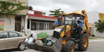 Todo septiembre mes de descacharrización en Solidaridad