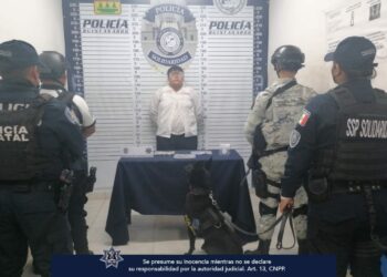 Tras operativo "Bares" en la Quinta Avenida, detienen a presunto dealer