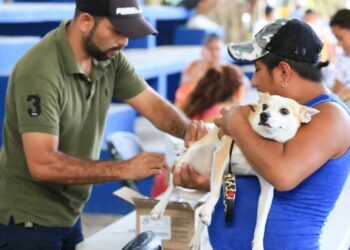 Fortalecen salud de mascotas en Solidaridad