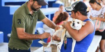 Fortalecen salud de mascotas en Solidaridad
