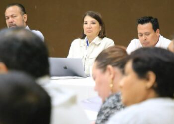 Participa Solidaridad en el foro de Coordinación Interinstitucional entre Ayuntamientos y la XVII Legislatura
