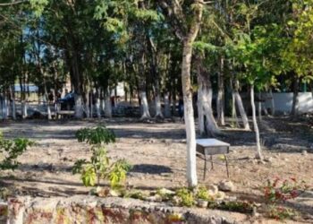 Tras años en el abandono, Ayuntamiento de Solidaridad atiende a la zona norponiente