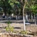 Tras años en el abandono, Ayuntamiento de Solidaridad atiende a la zona norponiente