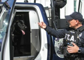 Unidad Canina contribuye en la reducción delictiva en Solidaridad