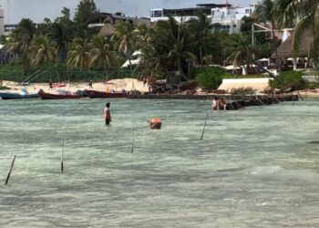 Hotel Panama Jack realiza obras sin permiso en Playa del Carmen; Profepa no ha intervenido