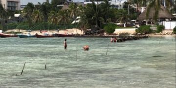 Hotel Panama Jack realiza obras sin permiso en Playa del Carmen; Profepa no ha intervenido