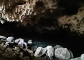 Respetarán la caverna hallada en obras viales en Playa del Carmen