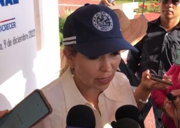 En mayo, posible conclusión de obras de rehabilitación del bulevar Playa del Carmen