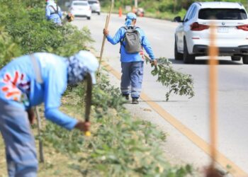 Gobierno refuerza limpieza en tramos carreteros