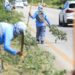 Gobierno refuerza limpieza en tramos carreteros