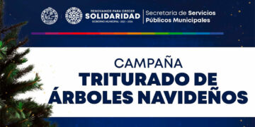 Gobierno abre centro de copio para árboles de navidad