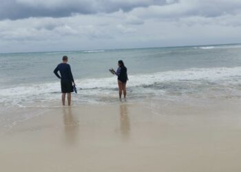 Alta afluencia de bañistas en Playa del Carmen pese al frente frío