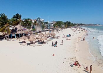 Trabajo coordinado para contener llegada de sargazo