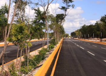 Embellecen la ciudad con plantas nativas