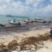 Pesca ha bajado un 50% en Playa del Carmen debido al mal tiempo
