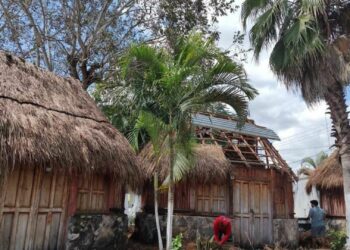 Rehabilitan Las Palapas del parador turístico de Leona Vicario