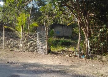 Solidaridad, segundo municipio con más invasiones en Quintana Roo