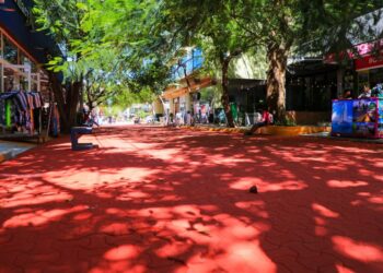 Avanza la renovación de la 5ta Avenida