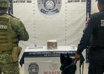 Detectan cajas con droga en paquetería de Playa del Carmen