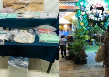 Duro golpe al narcomenudeo: encuentran 2 mil dosis de drogas en Animalandia de Playa del Carmen