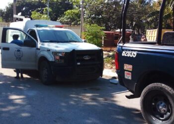 Encuentran cuerpo sin vida de un hombre en un lote baldío de Playa del Carmen