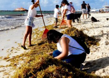 Gobierno intensifica limpieza de playas