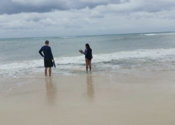 Invitan a tener precaución con la surada en Playa del Carmen; puerto podría cerrarse