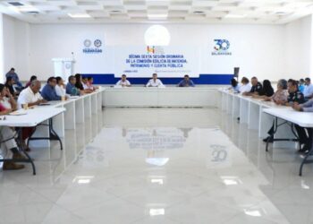 Más obras para Solidaridad con ingresos de parquímetros