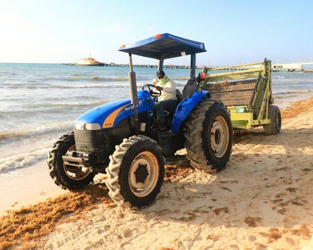 Turistas y locales disfrutan de playas cuidadas