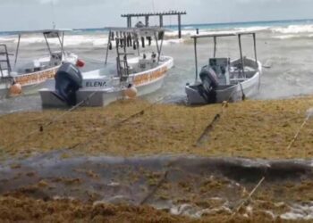 Vertido de arena y rescate de dunas, soluciones para la erosión de playas, afirma experto