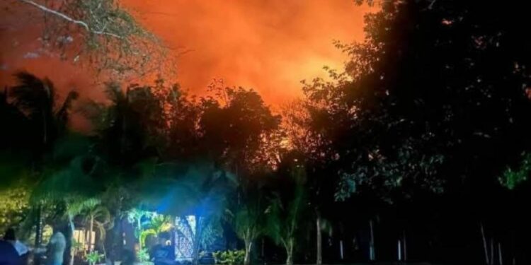 Bomberos de Playa del Carmen combaten un incendio forestal y varios en la ciudad