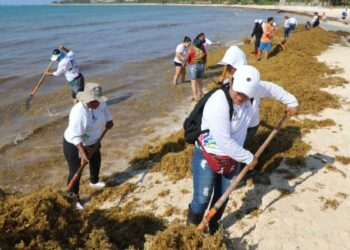 Jornada de limpieza en Punta Esmeralda