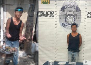 Playa del Carmen: Detienen a sujeto que cocinaba al gato de su vecino