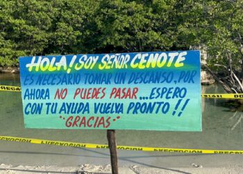 Tendrá tramo Playa del Carmen-Tulum del Tren Maya mayor número de 'pasos de fauna'