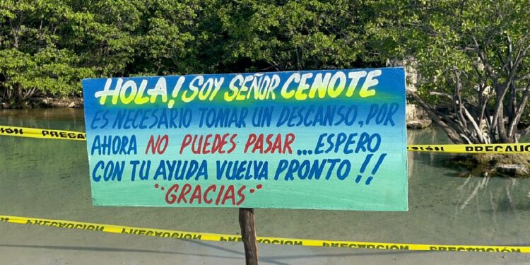 Tendrá tramo Playa del Carmen-Tulum del Tren Maya mayor número de 'pasos de fauna'