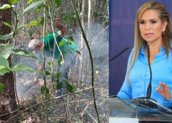 Desarrolladora deberá comparecer tras daños por el incendio en fraccionamiento Bonanza: Lili Campos