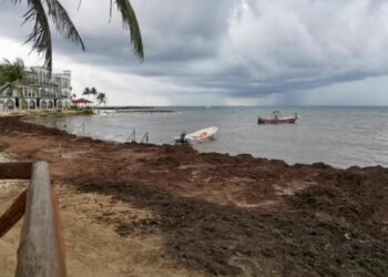 Pequeños hoteles y náuticos de Playa del Carmen, afectados por la llegada de sargazo