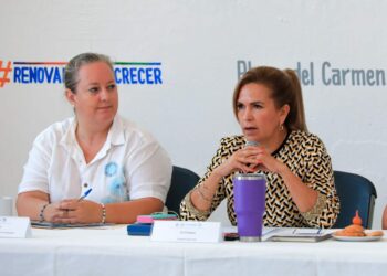 Gobierno trabaja en protocolo de atención en salud mental