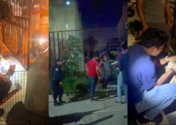 Cero tolerancia al maltrato animal en Solidaridad