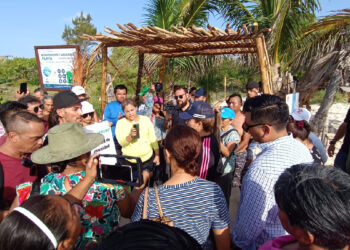 Congelan certificación Blue Flag para playa de la 72, a petición de comunidad que busca espacio 'pet friendly'