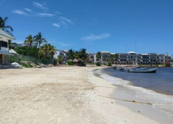 Pescadores y prestadores de servicios, a favor de que El Recodo sea pet friendly