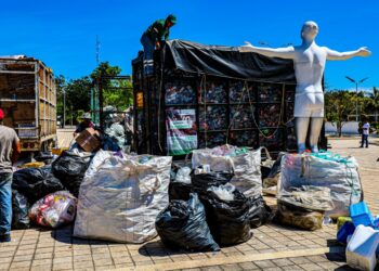 Solidaridad impulsa acciones para preservar el medio ambiente