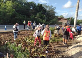 Gobierno municipal reforesta camellón de la carretera federal