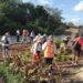 Gobierno municipal reforesta camellón de la carretera federal