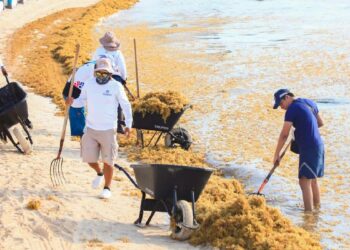 Acciones de medio ambiente a favor de locales, visitantes y turistas