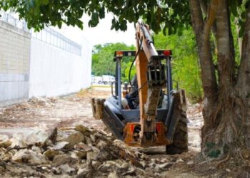 Colegio de Arquitectos recomienda actualizar el PDU y el reglamento de construcción en Playa del Carmen