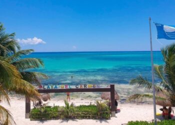Sin sargazo: así de espectacular luce hoy Playa del Carmen