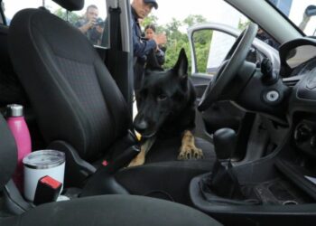 Con filtro de seguridad de El Tintal, Playa del Carmen quedará blindada: Lili Campos