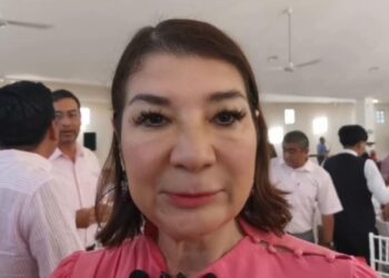 Propuesta de Leyes de Ingresos y Egresos de Solidaridad estará lista en diciembre: Kira Iris