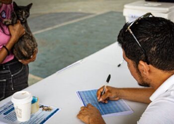 Realizan por primera vez, censo canino y felino en Solidaridad